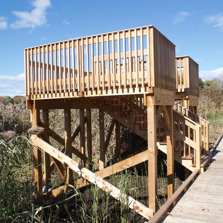 Diamond Pier Boardwalk 1