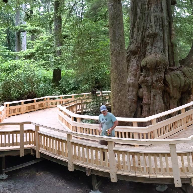 Rockaway Big Tree Trailhead