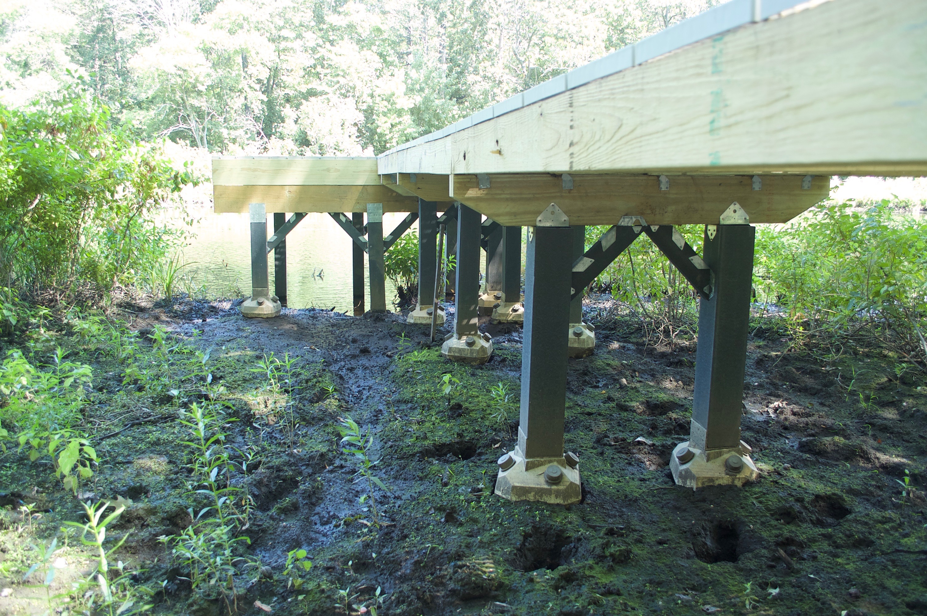 Diamond Pier Boardwalk Wetlands